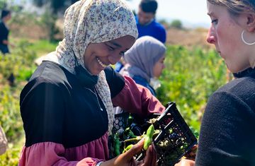 A female intern picks crops from a field