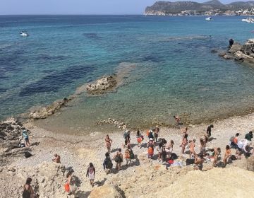 Mallorca's Marine Ecosystems