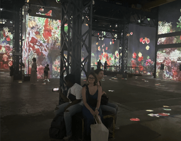 Atelier Des Lumières