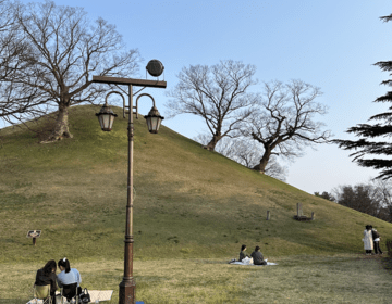 Picnic at Bonghwangdae