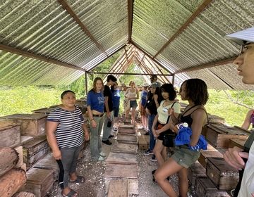 Students stand in circle around wooden beehive boxes. 