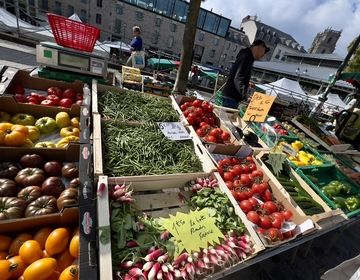 fresh various fruits and vegetables