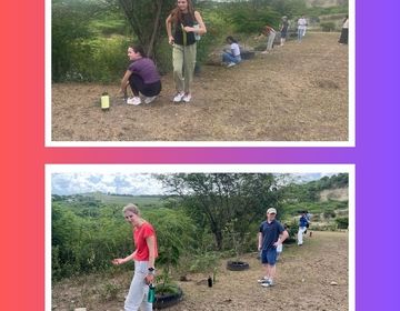 Students planting dragonfruit. 