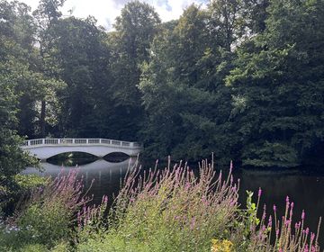 london garden outside study abroad