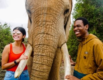 students with elephant in cape town