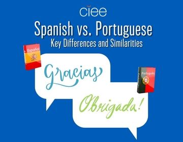 spanish vs portuguese language