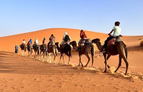 camel ride rabat study abroad