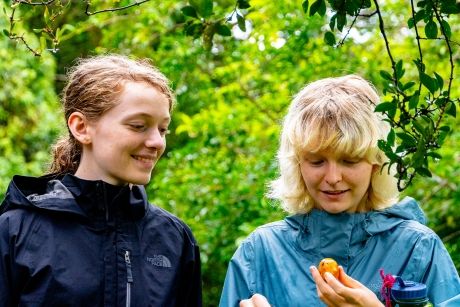 monteverde students looking at fruit