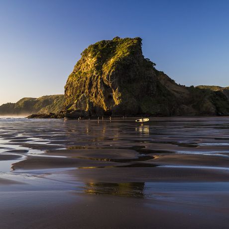 auckland piha beach