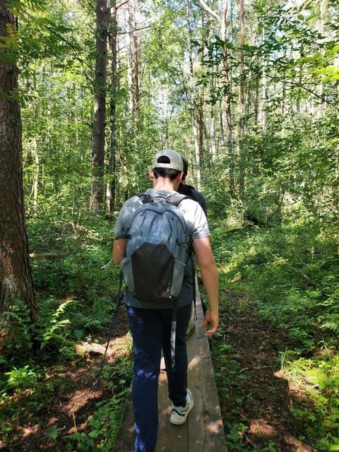 Walking through the Bog