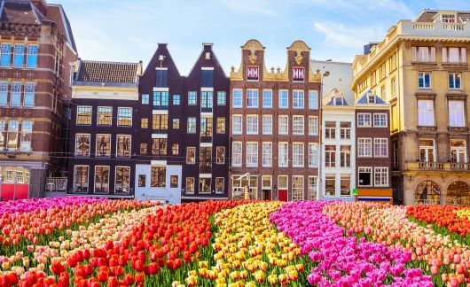 amsterdam-colorful-flowers-buildings