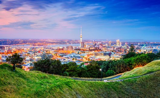 auckland skyline viewed from hill at night