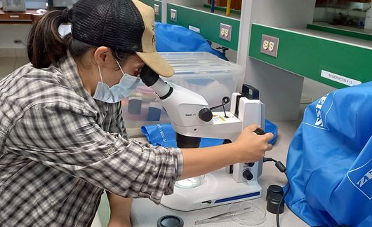 study abroad biology microscope student