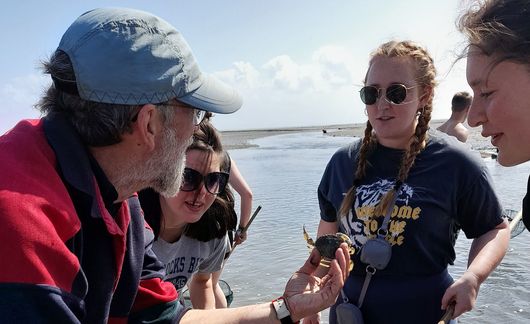 mudflats abroad students biology