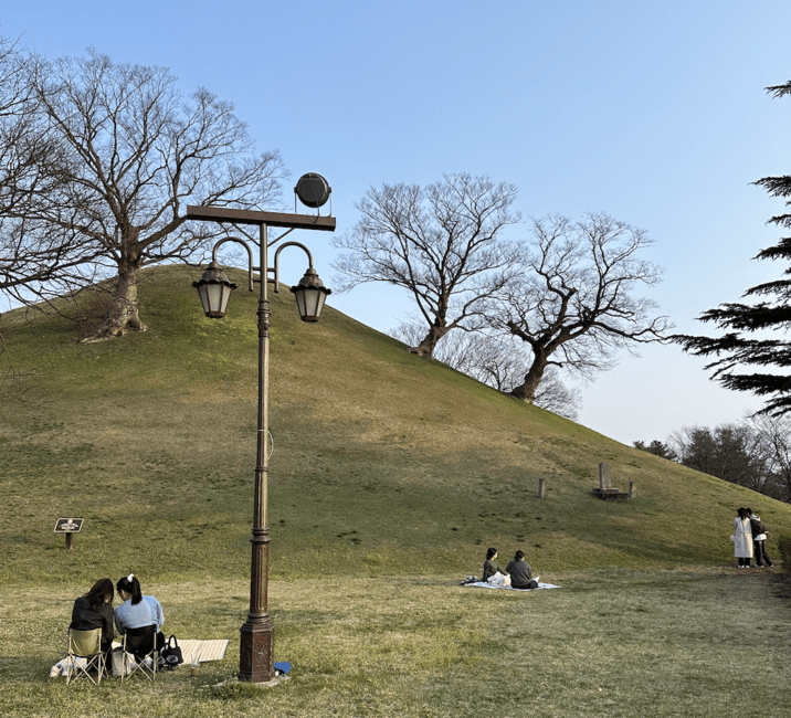 Picnic at Bonghwangdae