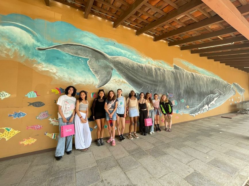 Some of the group posing in front on a mural in Liberia