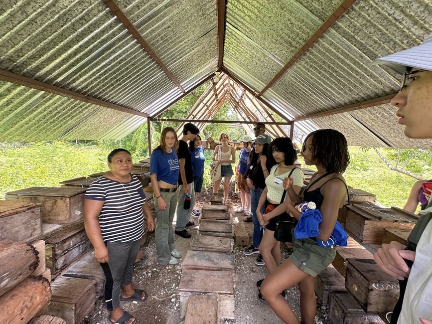 Students stand in circle around wooden beehive boxes. 