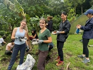 Using the compost to plant the coffee plants. 