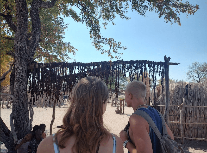 Elephant meat drying in a village in the Delta.