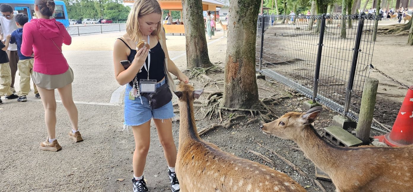 Nara Photo 1