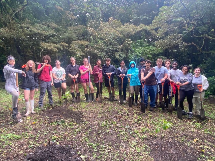 Group Service Hours Planting Trees 