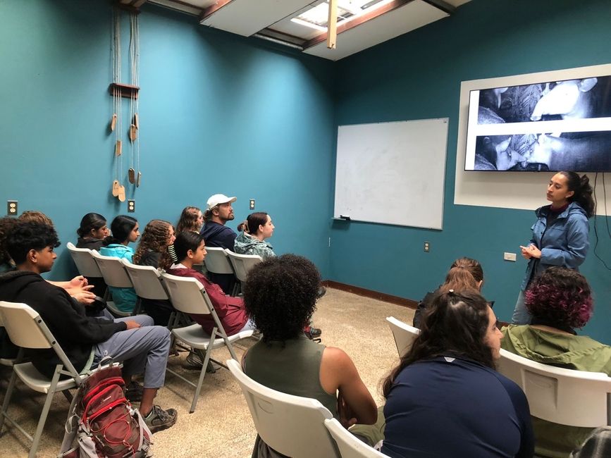 Learning about the History of the Eternal Children's Rainforest 