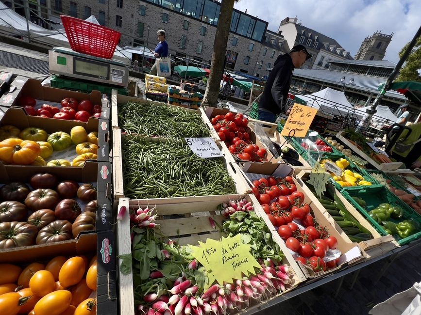 fresh various fruits and vegetables