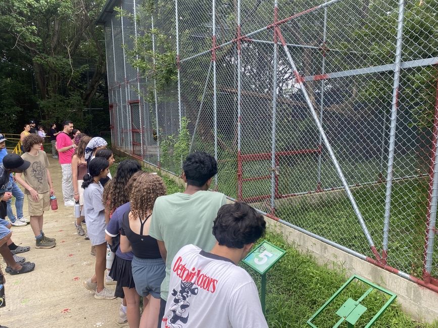 The students listening to the guide at the Puma Rescue Center.