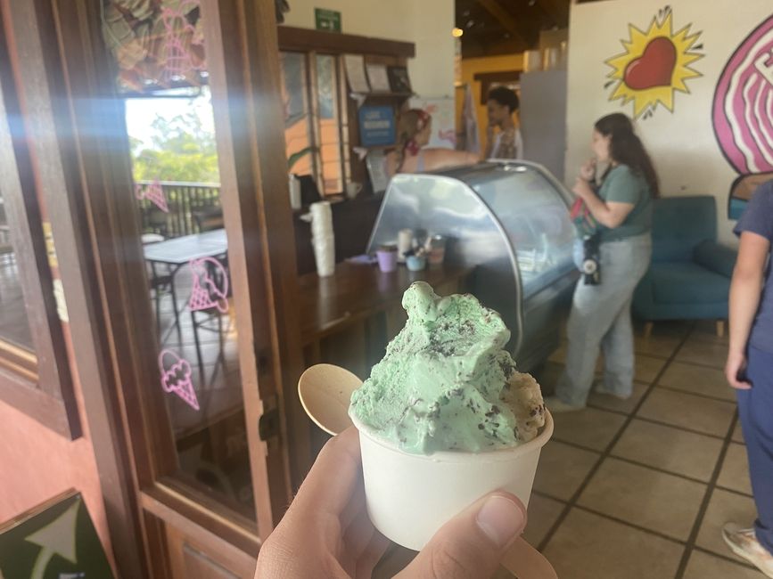 Mint chip gelato!