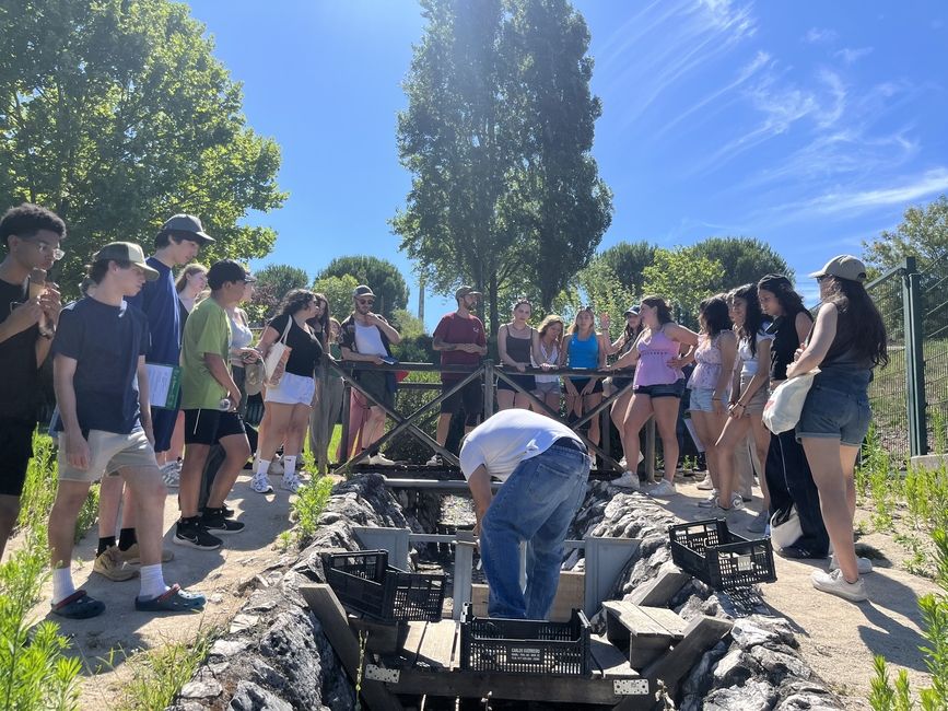 Learning about dams and their impact on ecosystems