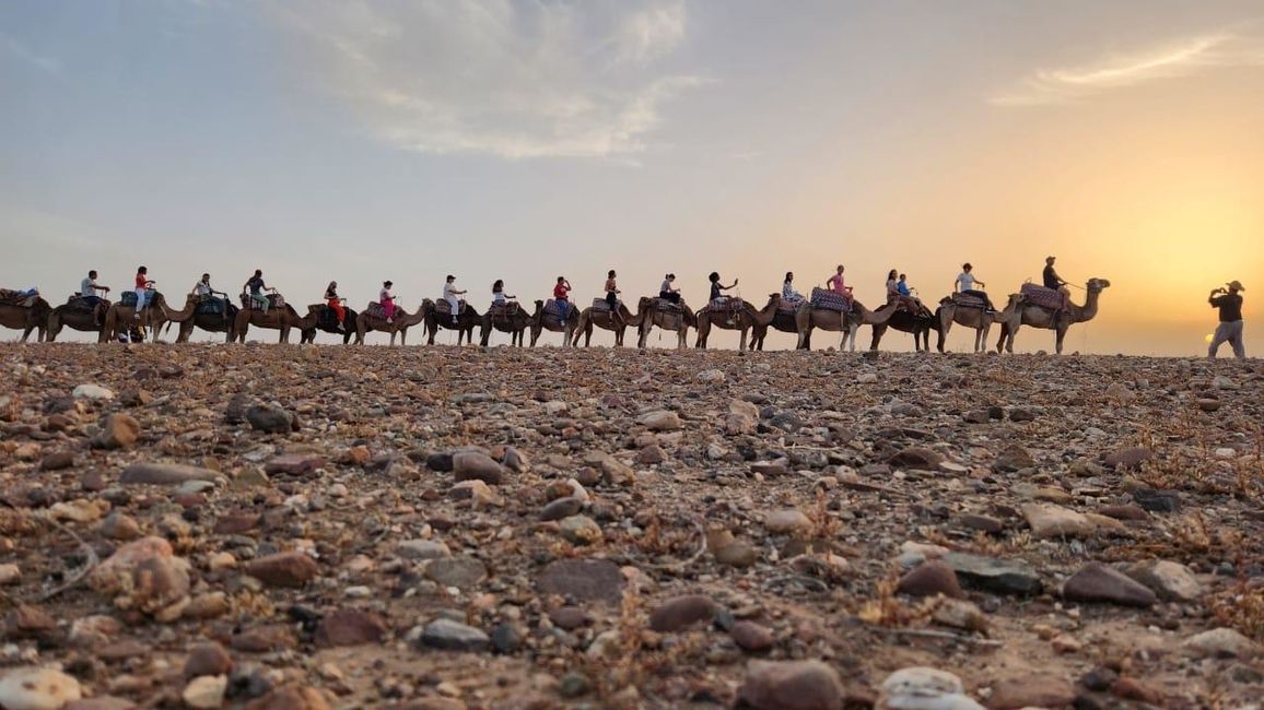 Agafay Desert Camel Riding