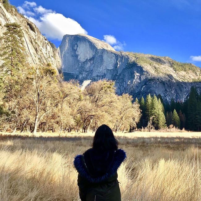 edelyns story national park california