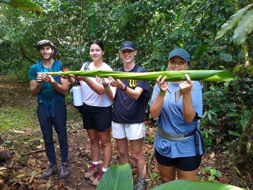 students holding leaf