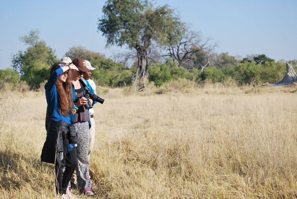 Gaborone wildlife photography