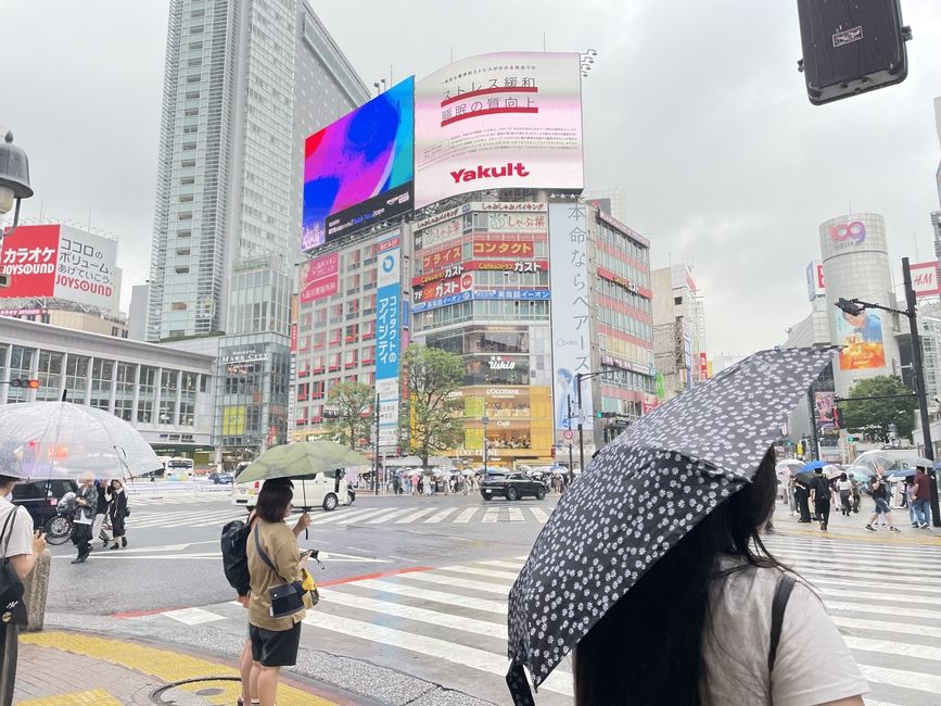 walking streets of tokyo on a high school summer abroad