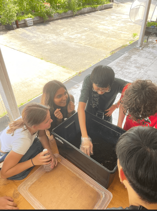 Students intrigued by the worms