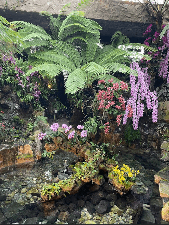 Singapore Botanic Gardens