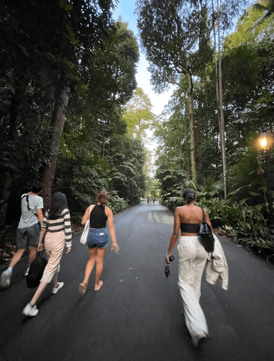 Singapore Botanic Gardens