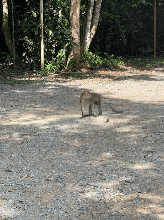 Pulau Ubin Island