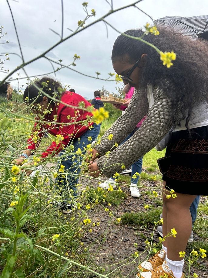 HSSA student Arrsema Kassahun picks flowers to use on her t-shirt design