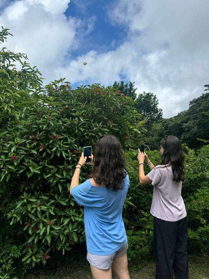 Capturing the beauty of the interaction of flowers with butterflies.