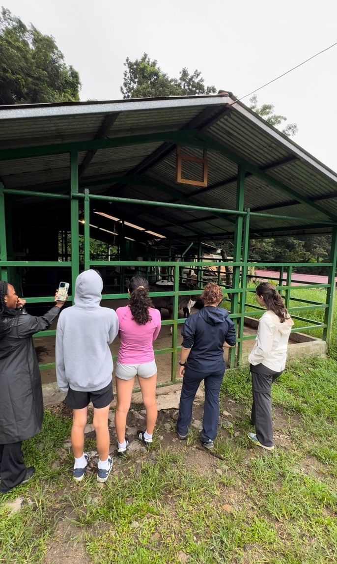 Baby cows were excited as the students! 