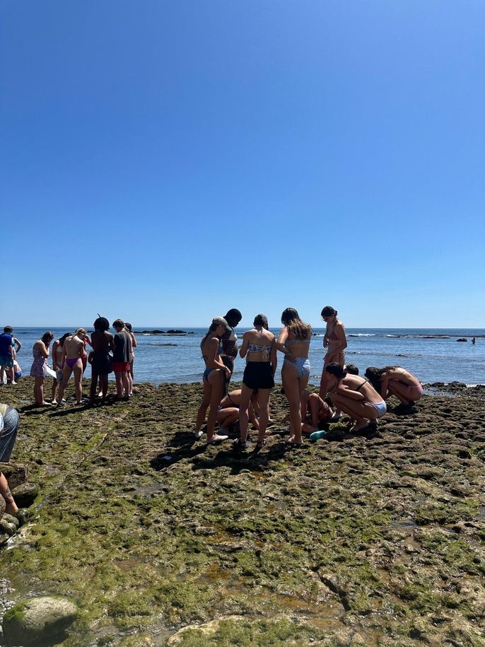 budding marine biologists at work