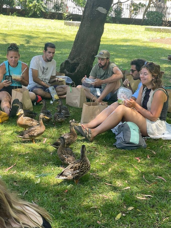 Our lunchtime buddies