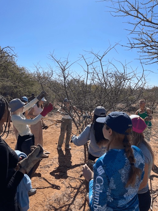 Group effort while working on combatting bush encroachment