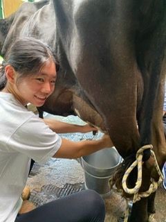 Renee helping milk cows.