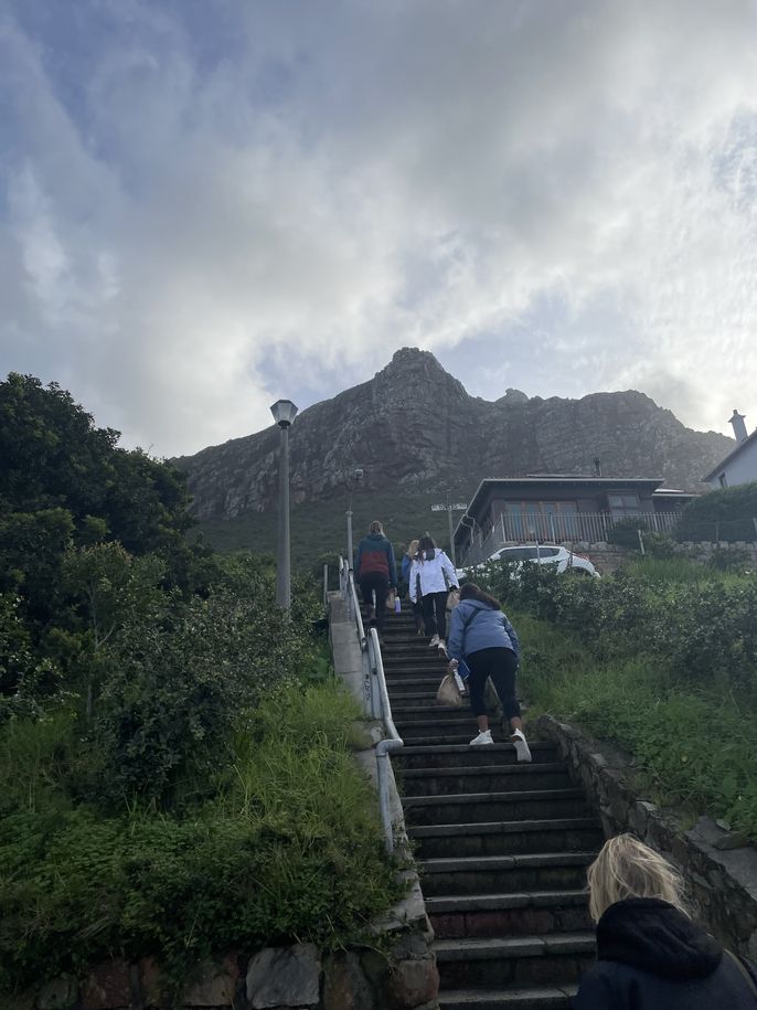 The steps to our accommodation