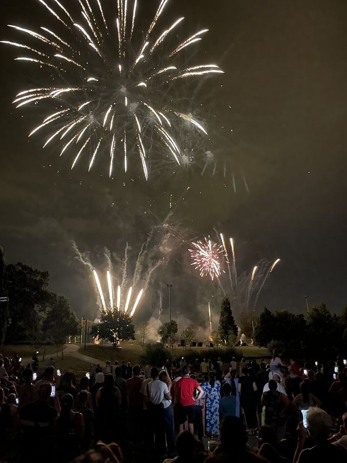 Fireworks in the sky