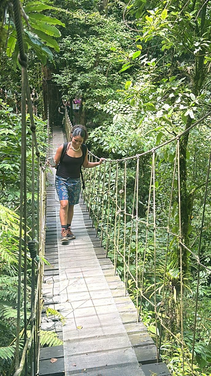 Miigis crossing hanging bridge