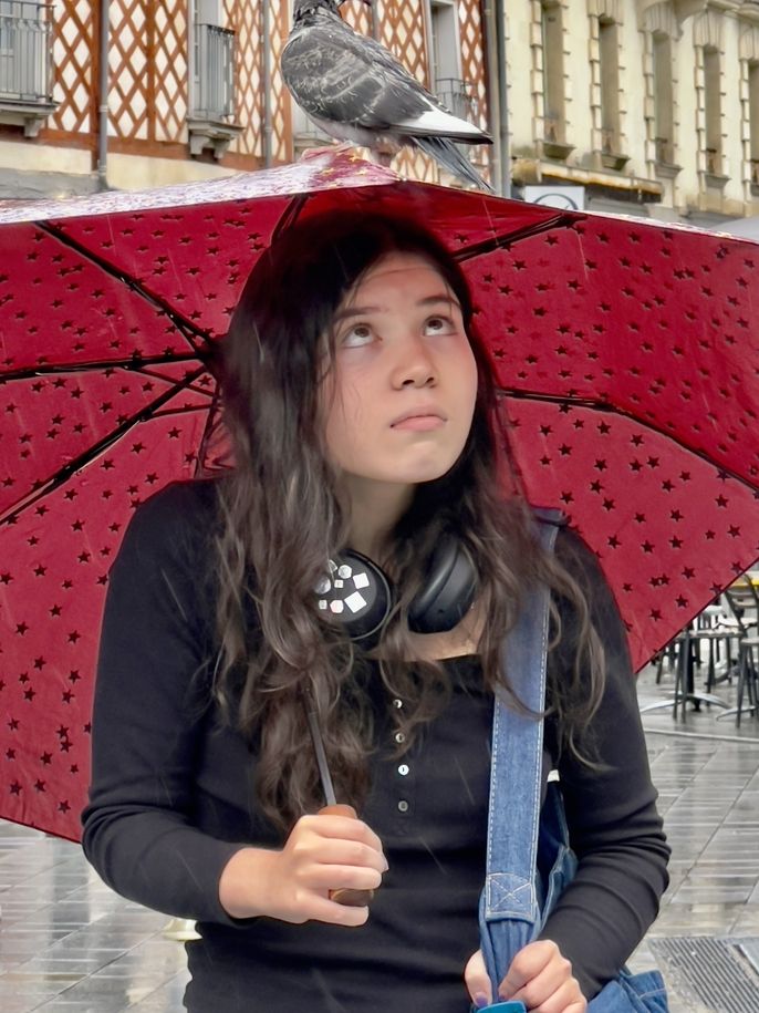 Student with a red umbrella looking up at the pigeon perched on her umbrella in the rain